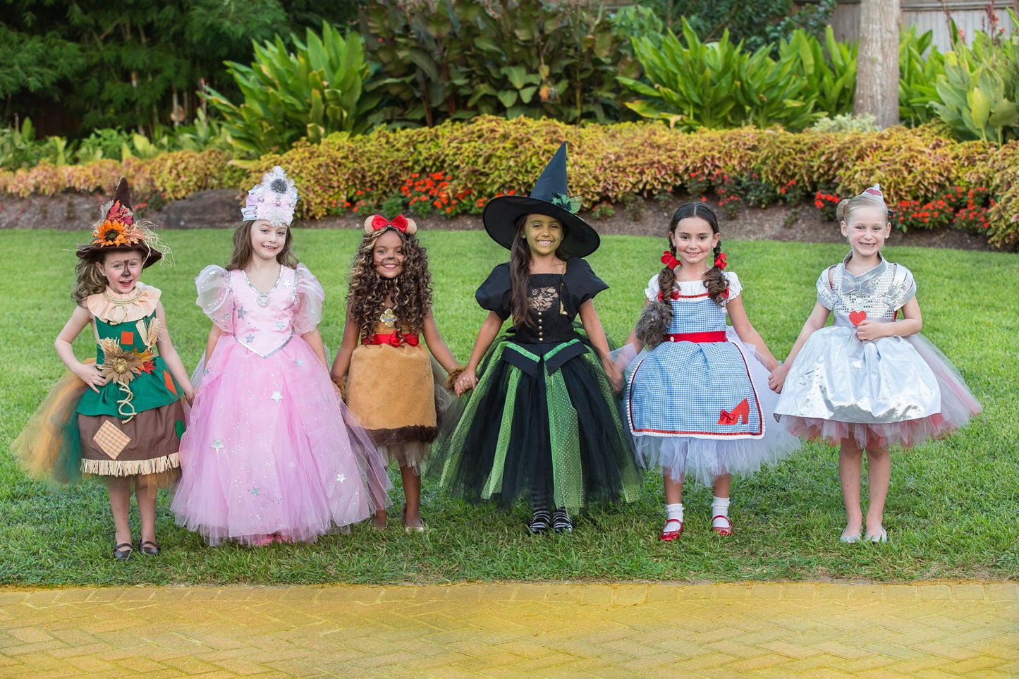 Wizard of oz Tutu dress- Wizard of oz costume-wizard of oz dress-Dorothy costume