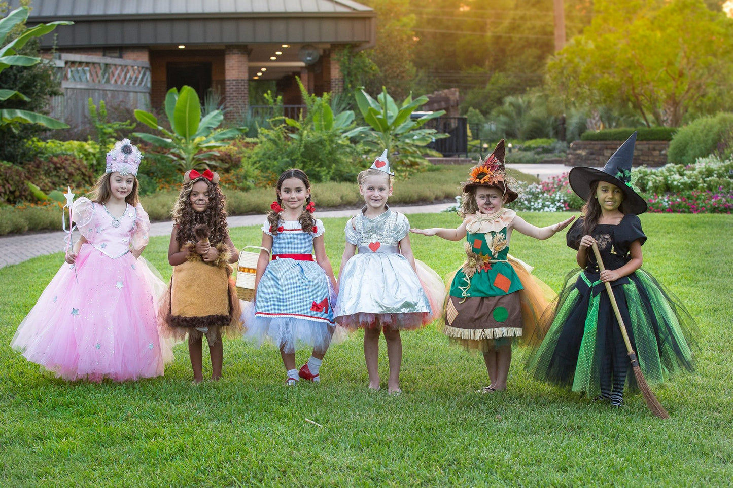 Wizard of oz Tutu dress- Wizard of oz costume-wizard of oz dress-Dorothy costume