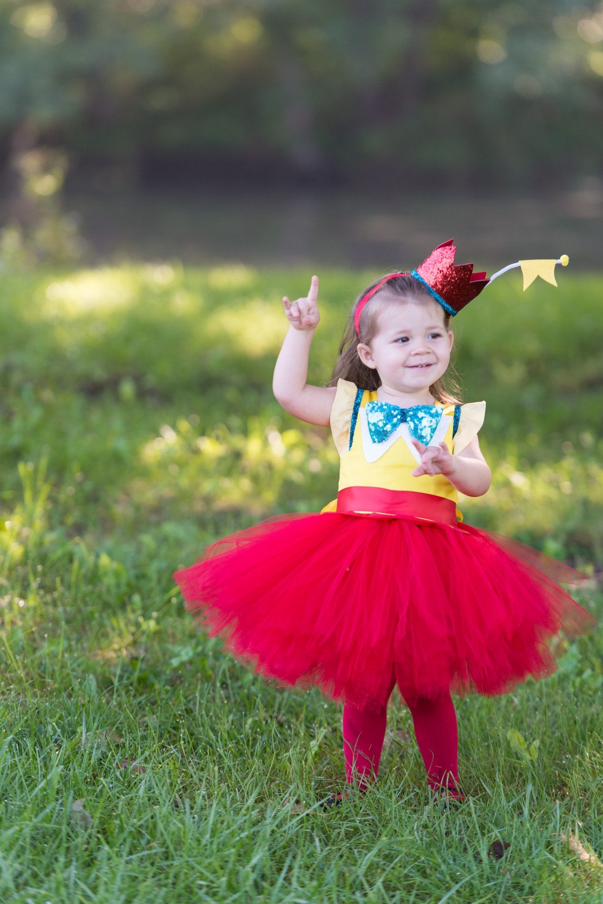 Tweedle dee Tweedle Dum dress-Tweedle dee Tweedle Dum costume-Tweedle dee Tweedle Dum tutu-Tweedle dee Tweedle Dum tutu dress