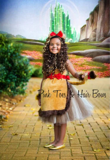 Wizard of oz Tutu dress- Wizard of oz costume-wizard of oz dress-Dorothy costume