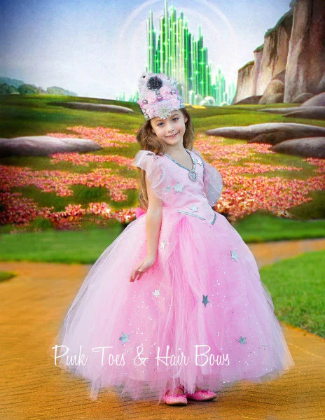 Wizard of oz Tutu dress- Wizard of oz costume-wizard of oz dress-Dorothy costume