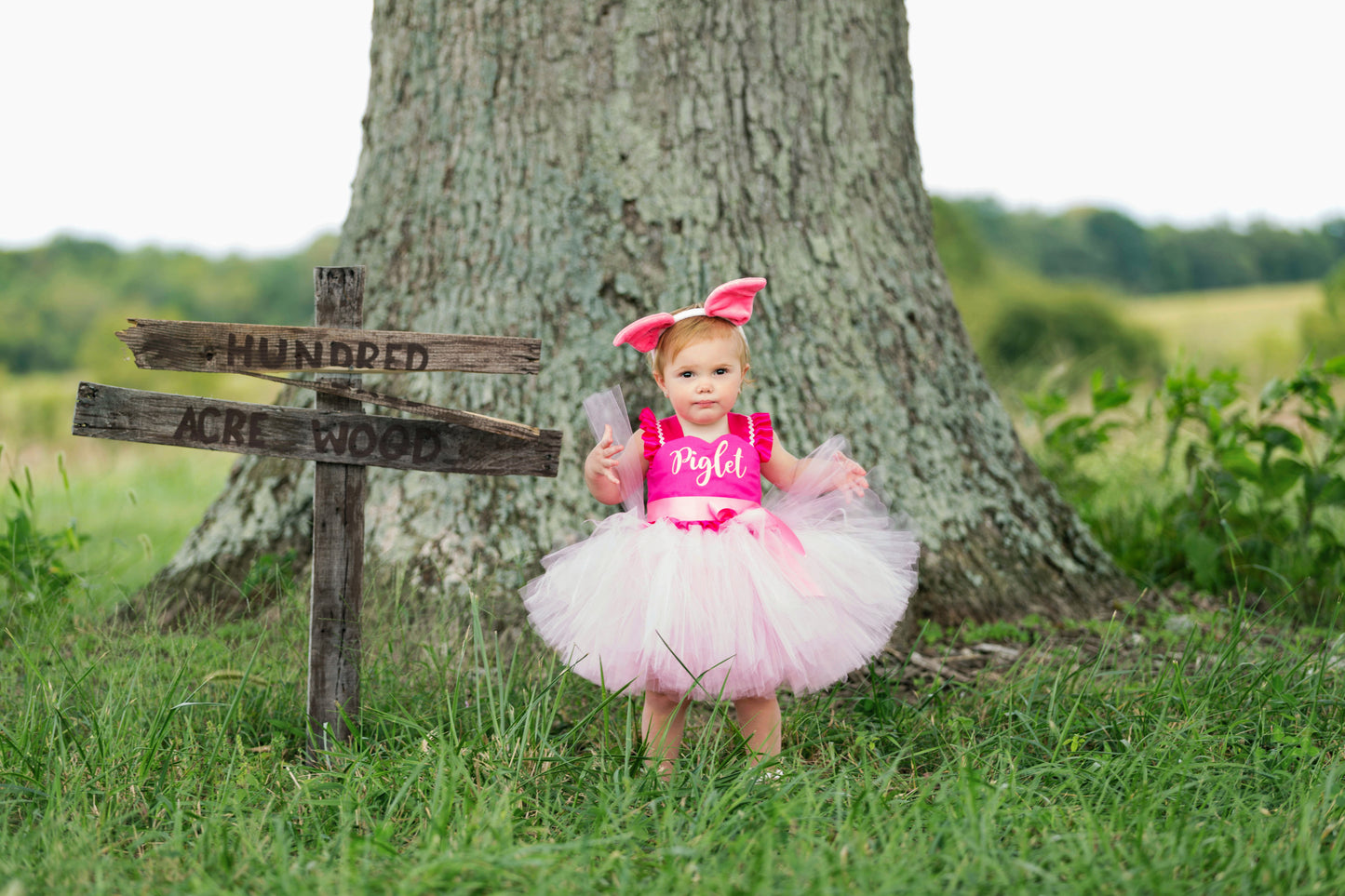 Piglet Costume-Piglet Tutu Dress- Piglet dress