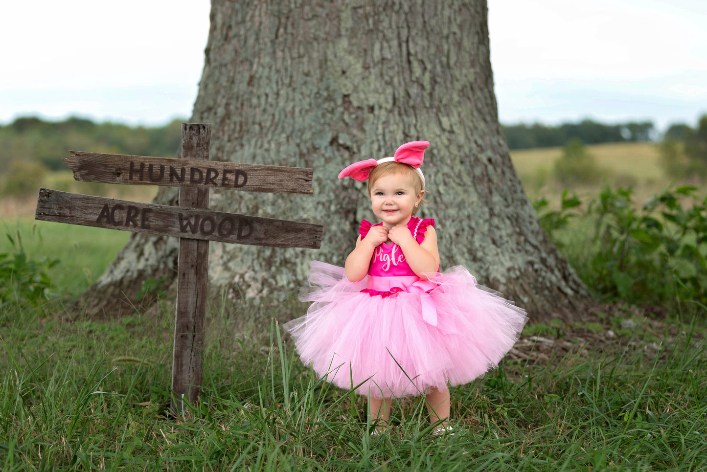 Piglet Costume-Piglet Tutu Dress- Piglet dress