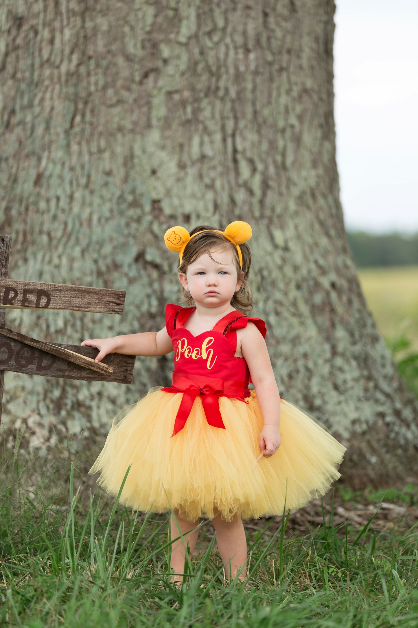 Winnie the pooh Costume-Winnie the pooh Tutu Dress- Winnie the pooh dress
