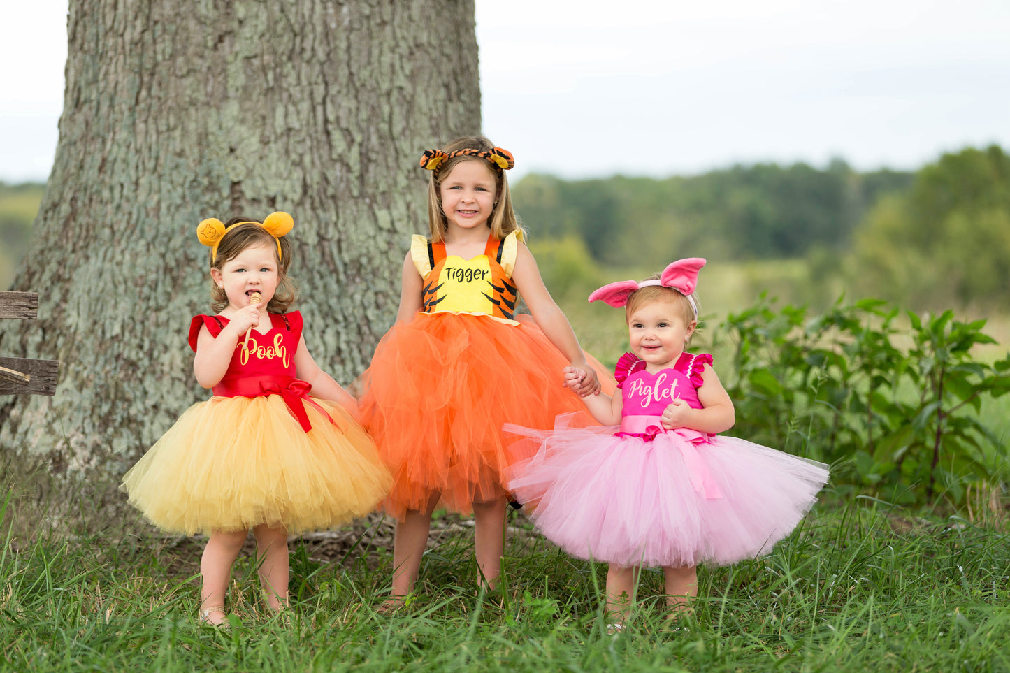 Tigger Costume- Tigger Tutu Dress- Tigger dress