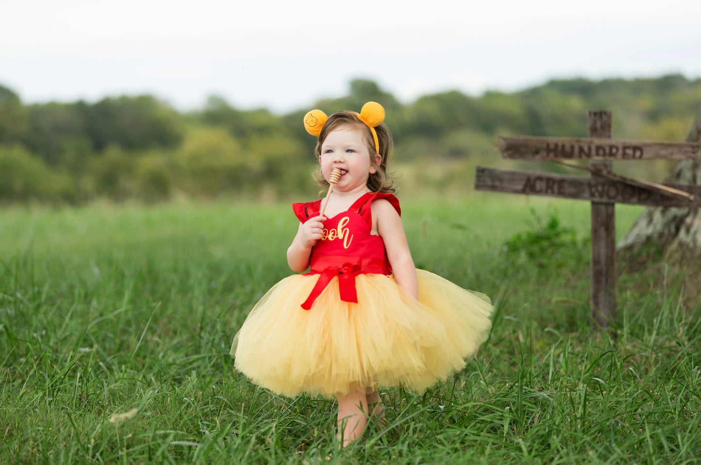 Winnie the pooh Costume-Winnie the pooh Tutu Dress- Winnie the pooh dress
