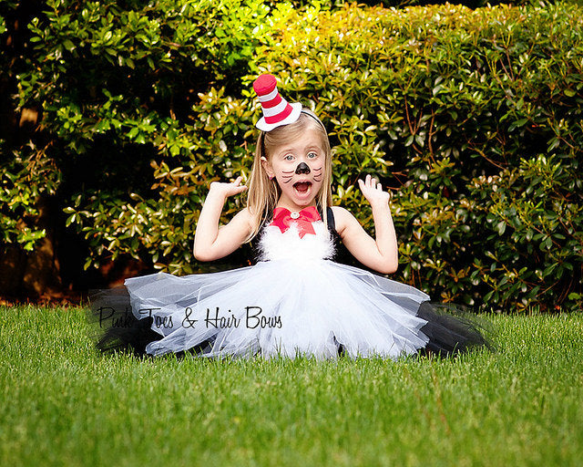 Cat in the Hat Tutu dress- Cat in the Hat tulle dress- Cat in the Hat dress- Cat in the Hat costume