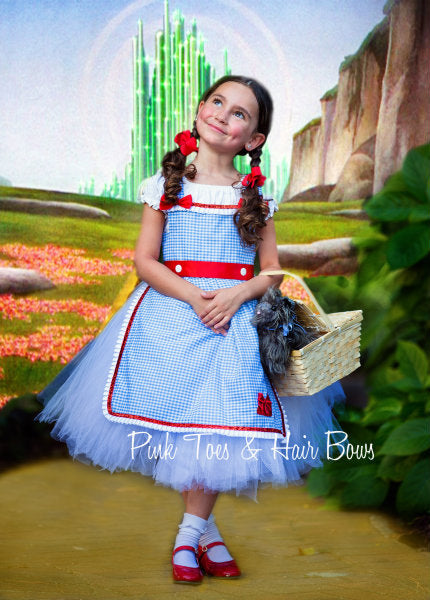 Dorothy Tutu dress- Wizard of oz tutu dress- Dorothy dress-Dorothy costume Dorothy Tutu dress- Wizard of oz tutu dress- Dorothy dress-Dorothy costume