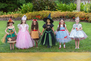 Wizard of oz Tutu dress- Wizard of oz costume-wizard of oz dress-Dorothy costume