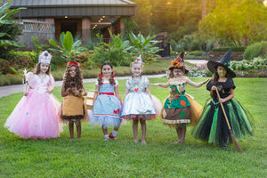 Wizard of oz Tutu dress- Wizard of oz costume-wizard of oz dress-Dorothy costume