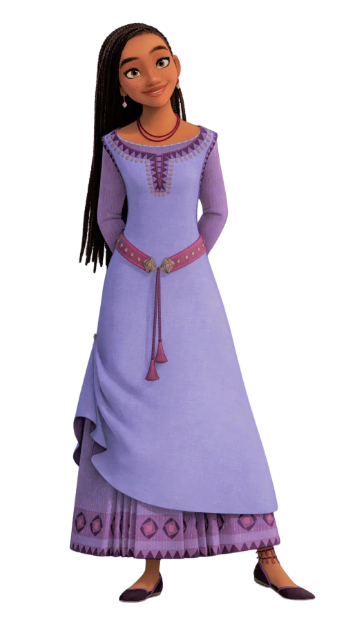 Asha Dress- Asha costume- Asha tutu dress