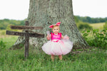 Load image into Gallery viewer, Piglet Costume-Piglet Tutu Dress- Piglet dress
