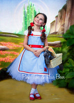 Load image into Gallery viewer, Dorothy Tutu dress- Wizard of oz tutu dress- Dorothy dress-Dorothy costume
