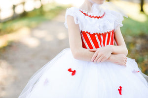 Mary Poppins Dress-Mary poppins costume- Mary Poppins tutu-Mary Poppins tutu dress