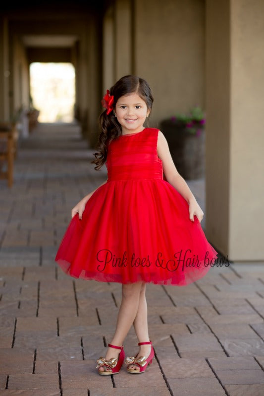 Red Wine Tulle Dress(ready to ship)